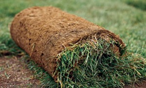 sod-turner-valley-okotoks-calgary-high-river-millarville